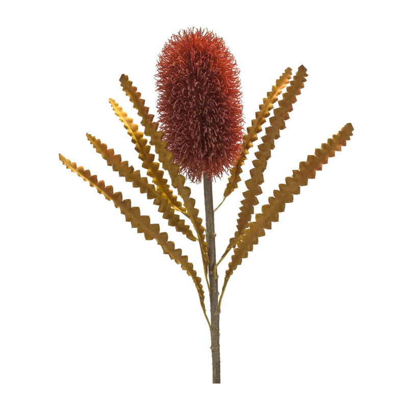 Melrose Burnt Orange Banksia Floral Stem (Set of 6)