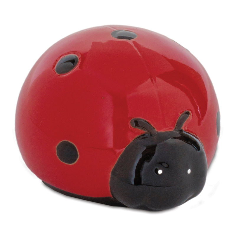 Melrose Lady Bug (Set of 24)