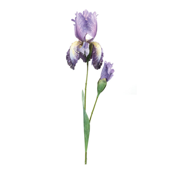 Melrose Iris Floral Stem (Set of 2)