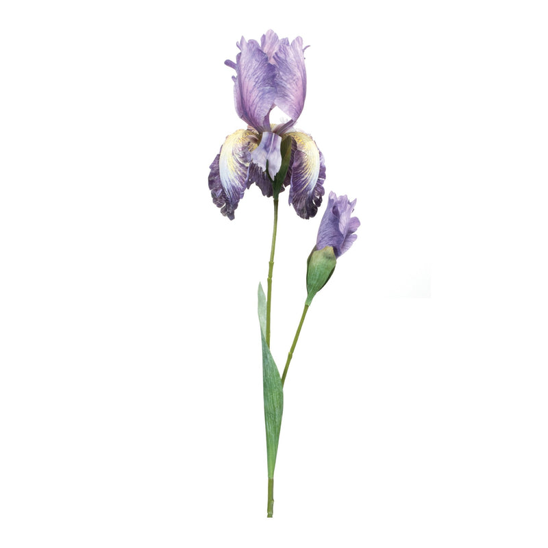 Melrose Iris Floral Stem (Set of 2)