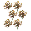 Melrose Variegated Foliage Plant (Set of 6)