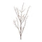 Melrose Birch Twig Branch (Set of 6)