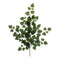 Melrose Ivy Foliage Spray (Set of 6)
