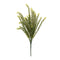 Melrose Baby Tears Foliage Bush (Set of 6)
