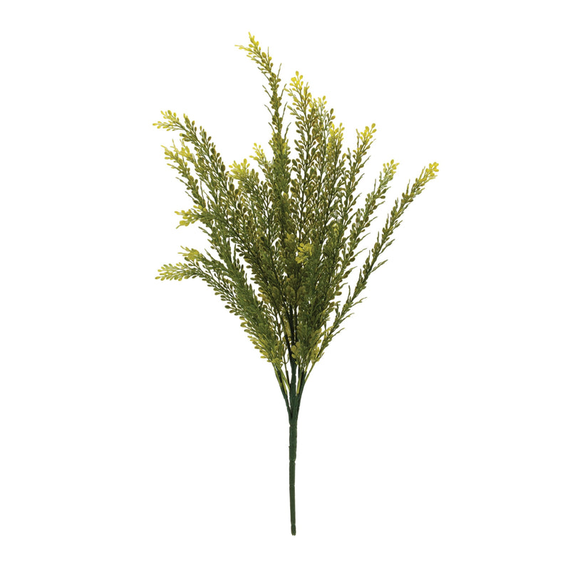 Melrose Baby Tears Foliage Bush (Set of 6)