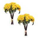 Melrose Yellow Berry Bundle (Set of 2)