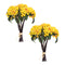 Melrose Yellow Berry Bundle (Set of 2)
