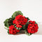 Melrose Red Geranium Floral Bush (Set of 2)