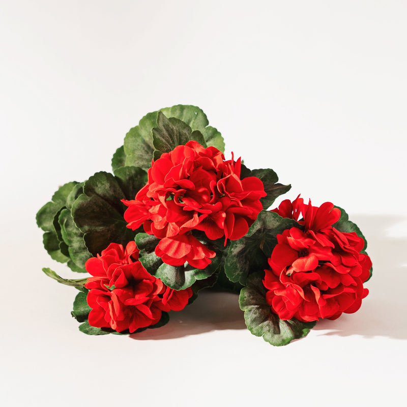 Melrose Red Geranium Floral Bush (Set of 2)