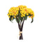 Melrose Yellow Berry Bundle (Set of 2)