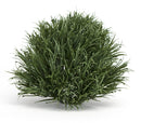 Melrose Spring Grass Half Orb (Set of 6)