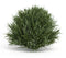 Melrose Spring Grass Half Orb (Set of 6)