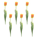 Melrose Tulip Floral Stem (Set of 6)