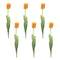 Melrose Tulip Floral Stem (Set of 6)