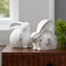 Melrose Marble Design Rabbit Shelf Sitter (Set of 2)