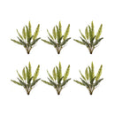 Melrose Varigated Fern Foliage Bush (Set of 6)