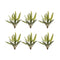 Melrose Varigated Fern Foliage Bush (Set of 6)