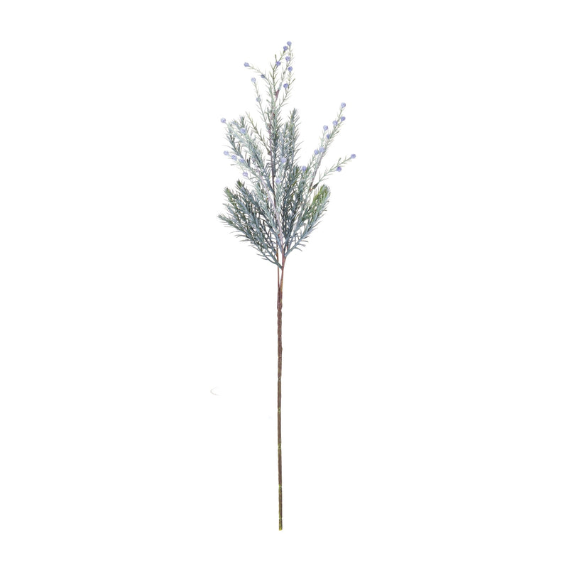 Melrose Pine Spray (Set of 6)