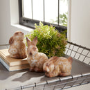 Melrose Weathered Terra Cotta Rabbit Garden Statue (Set of 6)