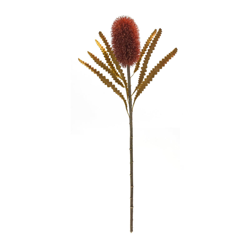 Melrose Burnt Orange Banksia Floral Stem (Set of 6)