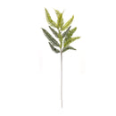 Melrose Varigated Fern Foliage Spray (Set of 6)