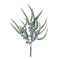Melrose Winter Berry Pod Pick (Set of 6)