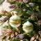 Melrose Beaded Glass Ball Ornament (Set of 6)
