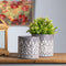 Melrose Ornate Metal Planter Set of 2 Planter
