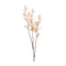 Melrose Seeded Eucalyptus Stem (Set of 2)