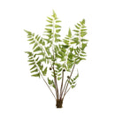 Melrose Varigated Fern Bundle with Sprout Accents (Set of 6)