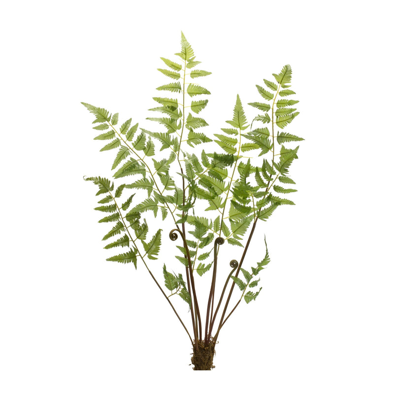 Melrose Varigated Fern Bundle with Sprout Accents (Set of 6)