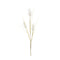 Melrose Bunny Tail Spray (Set of 6)