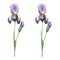 Melrose Iris Floral Stem (Set of 2)