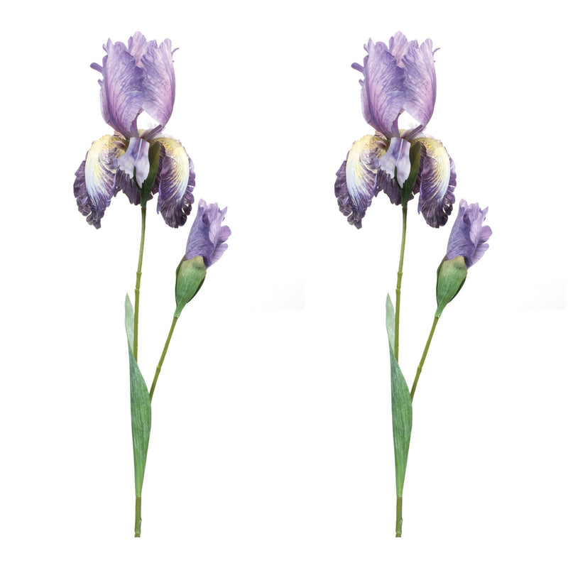 Melrose Iris Floral Stem (Set of 2)