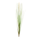 Melrose Foxtail Bush (Set of 12)