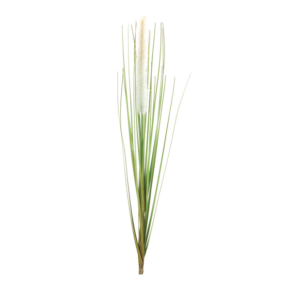 Melrose Foxtail Bush (Set of 12)