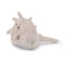 Melrose Sea Shell Filler Decor (Set of 12)