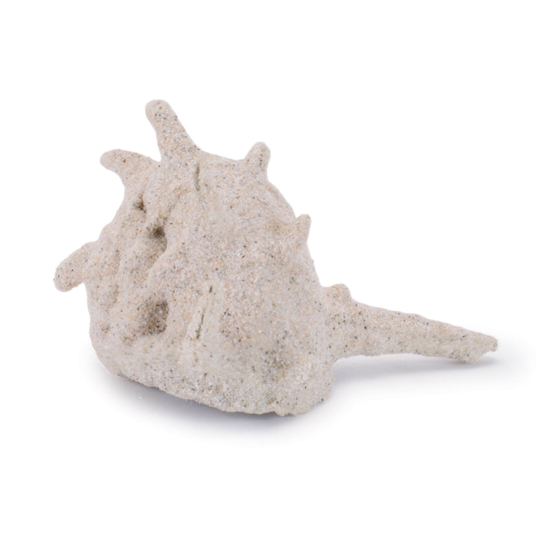 Melrose Sea Shell Filler Decor (Set of 12)