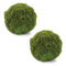 Melrose Faux Moss Orb (Set of 2)