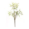 Melrose Mini Fern Foliage Bush with Sprout Accent (Set of 6)