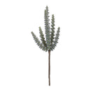 Melrose Succulent Plant Pick (Set of 6)