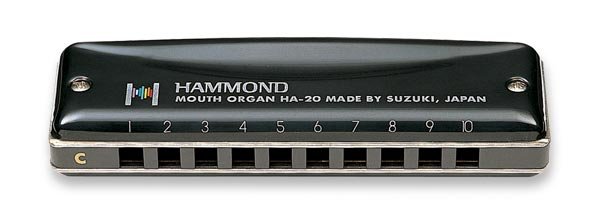 Suzuki Promaster Hammond 10 Hole Diatonic Harmonica Key F