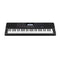 Casio CT-X700 61-Note Portable Digital Keyboard with Free Stand