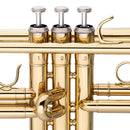 Stagg Bb Trumpet Brass Body - WS-TR115