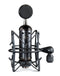 Blue Spark Blackout SL XLR Condenser Microphone for Pro Recording & Streaming