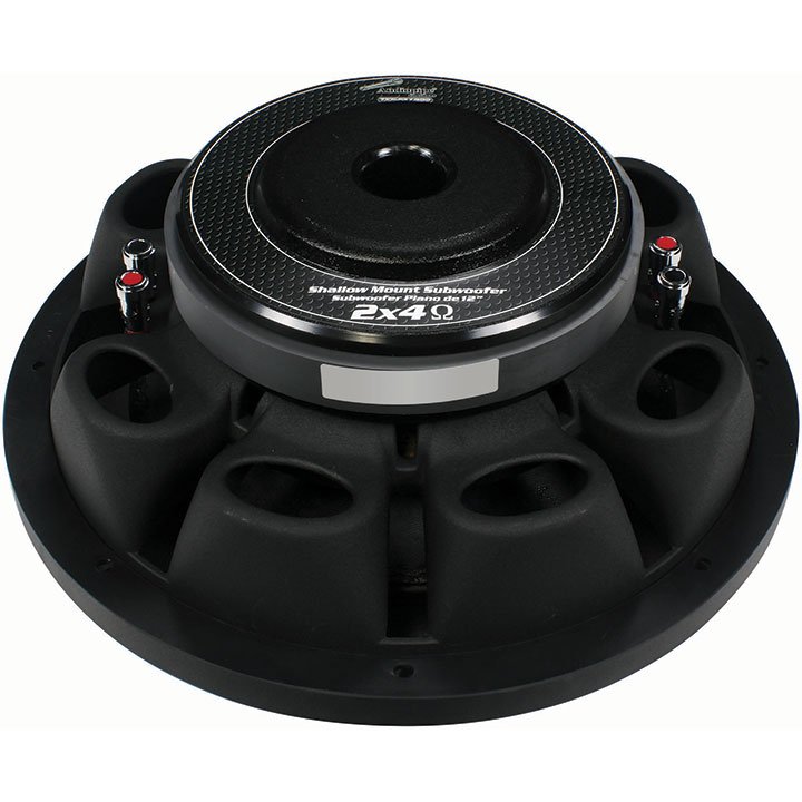 Audiopipe 10" Shallow Woofer Dual VC 4 ohm 600 Watts TXXFA1000