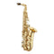 Antigua Vosi Eb Alto Saxophone - Nickel Keys and Lacquer Body - AS2155LN