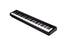NUX NPK-10 Portable 88 Key Digital Piano w/ Touch Sensitive Hammer-Action Keys