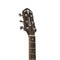 Crafter Stage 16 Dreadnought Acoustic Electric Guitar - Spruce - STG D16CE PRO