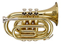 Stagg Bb Brass Pocket Trumpet w/ Gig Bag - WS-TR245S